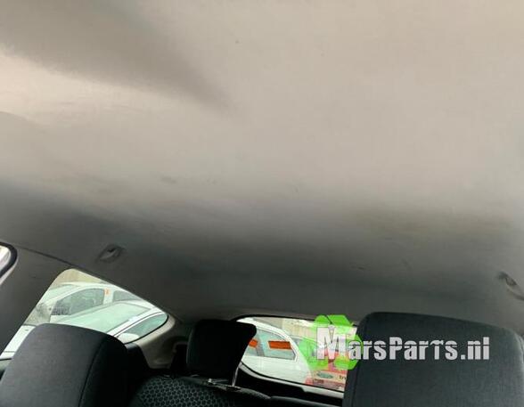 Front roof paneel FORD FIESTA VI Van, FORD FIESTA VI (CB1, CCN)