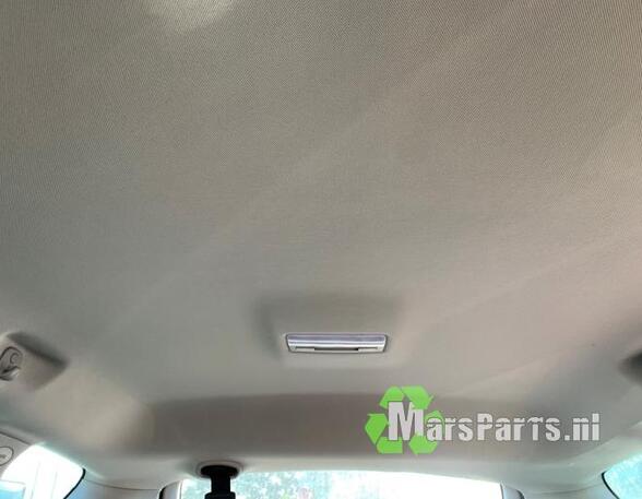 Front Interior Roof Trim Panel OPEL MERIVA B MPV (S10), OPEL ASTRA J Sports Tourer (P10)