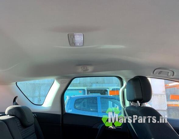 Front Interior Roof Trim Panel OPEL MERIVA B MPV (S10), OPEL ASTRA J Sports Tourer (P10)