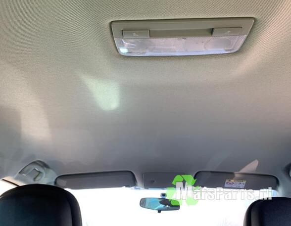 Front Interior Roof Trim Panel OPEL MERIVA B MPV (S10), OPEL ASTRA J Sports Tourer (P10)