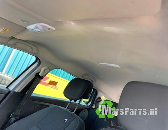 Front Interior Roof Trim Panel RENAULT MEGANE III Grandtour (KZ0/1)