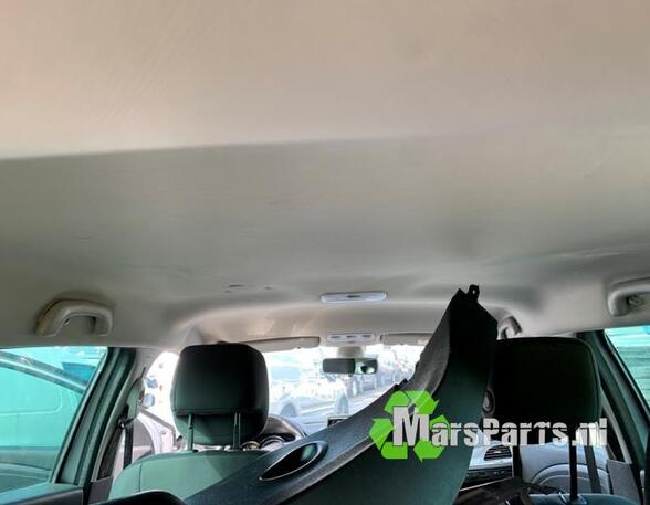 Front Interior Roof Trim Panel RENAULT MEGANE III Grandtour (KZ0/1)