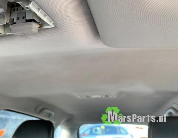 Front Interior Roof Trim Panel RENAULT LAGUNA III Grandtour (KT0/1)