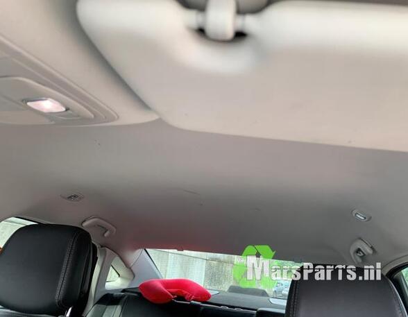 Front Interior Roof Trim Panel RENAULT TALISMAN (LP_)