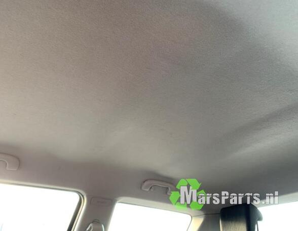 Front Interior Roof Trim Panel SUZUKI SWIFT III (MZ, EZ)