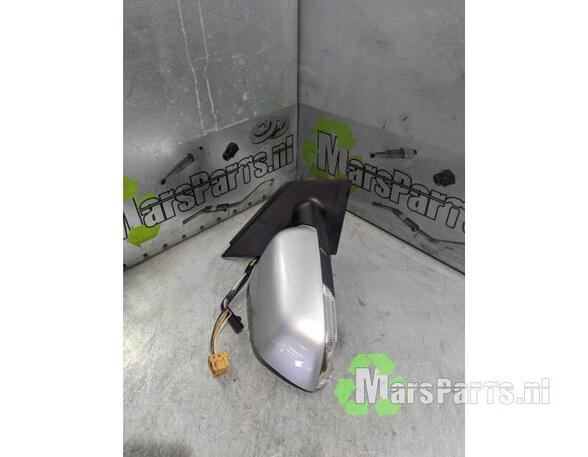 Wing (Door) Mirror VW POLO (9N_)