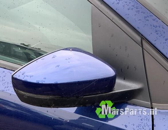 Wing (Door) Mirror VW POLO (6R1, 6C1), VW POLO Van (6R)