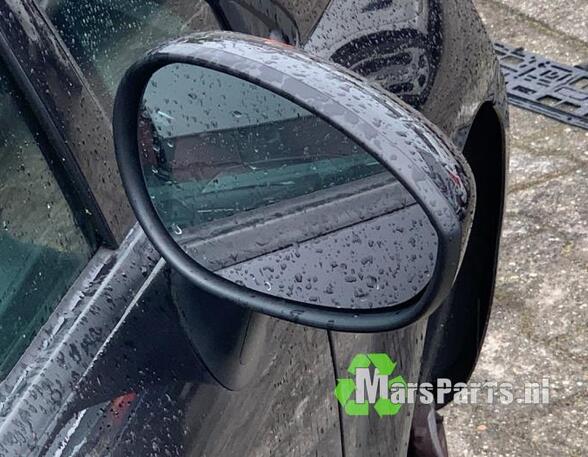 Wing (Door) Mirror FIAT GRANDE PUNTO (199_), FIAT PUNTO EVO (199_), FIAT PUNTO (199_), ABARTH PUNTO (199_)