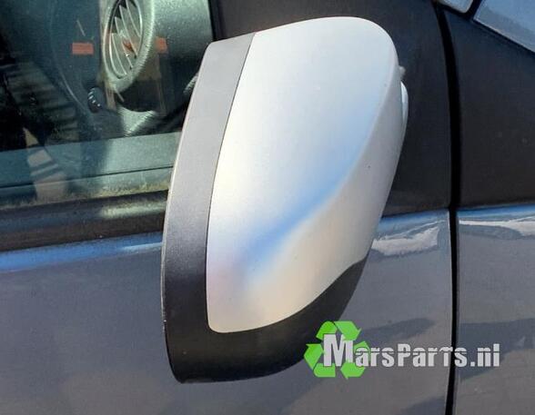 Wing (Door) Mirror RENAULT TWINGO II (CN0_)