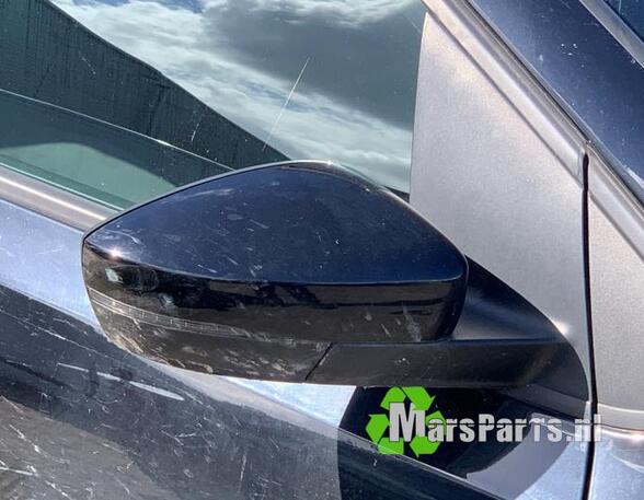 Wing (Door) Mirror VW POLO (6R1, 6C1), VW POLO Van (6R)