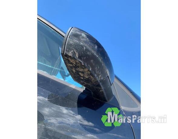 Wing (Door) Mirror VW POLO (6R1, 6C1), VW POLO Van (6R)