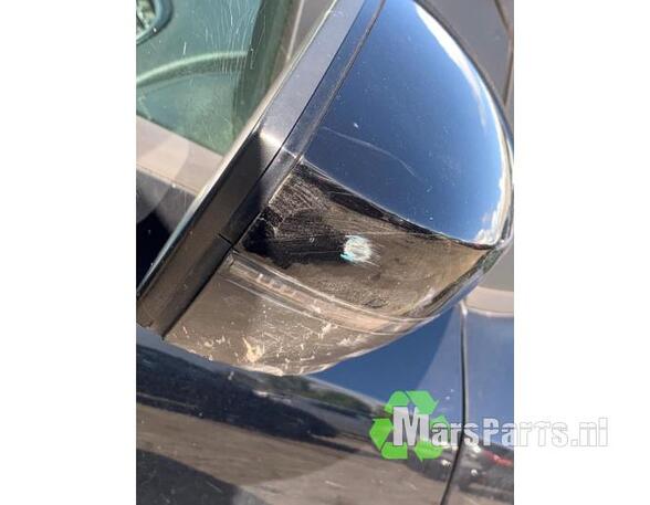 Wing (Door) Mirror VW POLO (6R1, 6C1), VW POLO Van (6R)