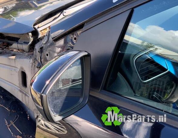 Wing (Door) Mirror VW POLO (6R1, 6C1), VW POLO Van (6R)