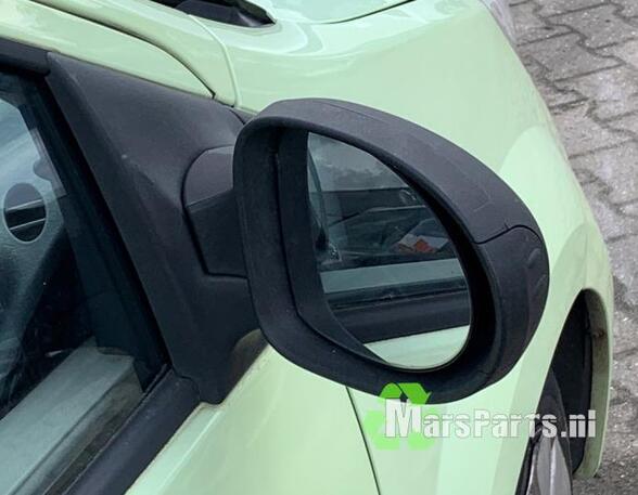 Wing (Door) Mirror RENAULT TWINGO II (CN0_)