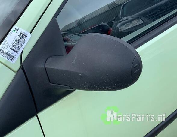 Wing (Door) Mirror RENAULT TWINGO II (CN0_)