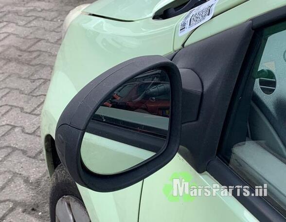 Wing (Door) Mirror RENAULT TWINGO II (CN0_)