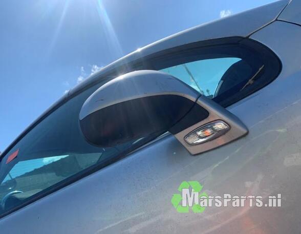 Wing (Door) Mirror PEUGEOT 207 CC (WD_)