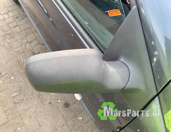 Wing (Door) Mirror RENAULT CLIO III (BR0/1, CR0/1), RENAULT CLIO IV (BH_), RENAULT CLIO II (BB_, CB_)