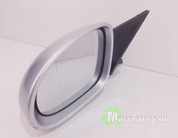 Wing (Door) Mirror VW PASSAT (3C2), VW PASSAT (362)