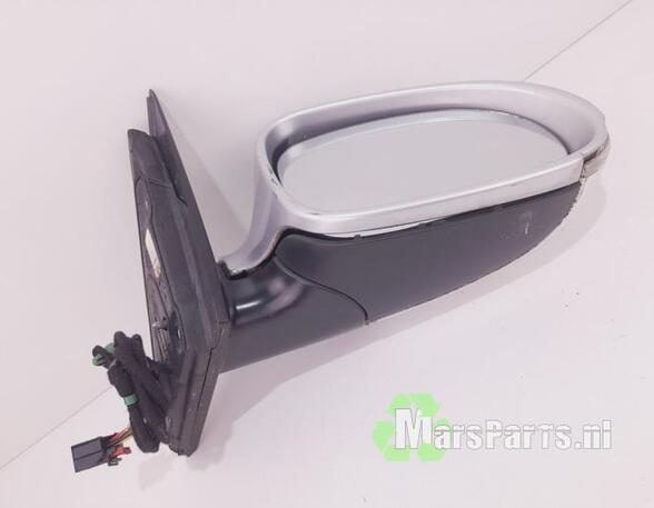 Wing (Door) Mirror VW PASSAT (3C2), VW PASSAT (362)