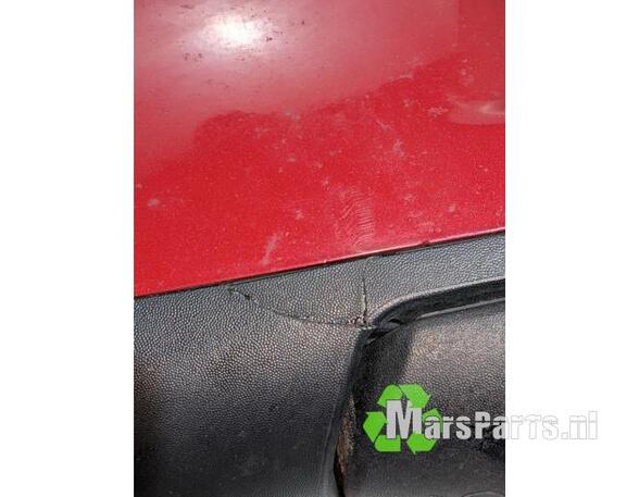 Wing (Door) Mirror RENAULT TWINGO II (CN0_)