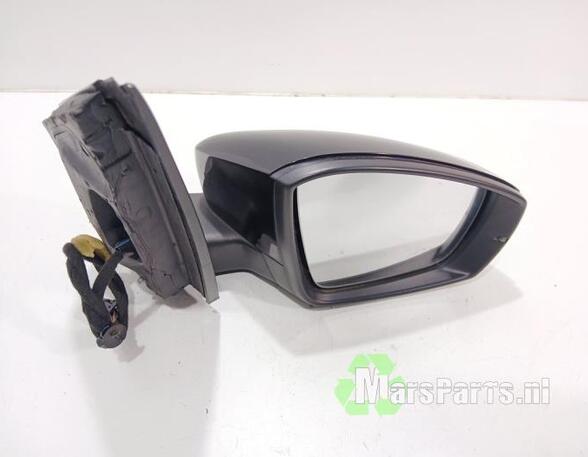 Wing (Door) Mirror VW POLO (6R1, 6C1), VW POLO Van (6R)