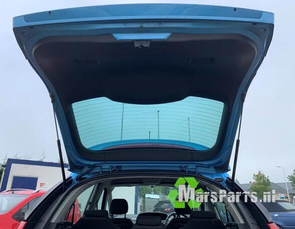 Kofferruimteklep CITROËN C4 PICASSO I MPV (UD_), CITROËN C4 GRAND PICASSO I (UA_)