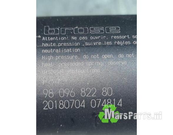 Gasveer kofferruimte PEUGEOT 3008 SUV (MC_, MR_, MJ_, M4_)