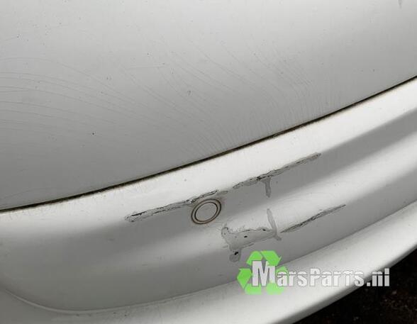 Bumper PEUGEOT 207 (WA_, WC_)