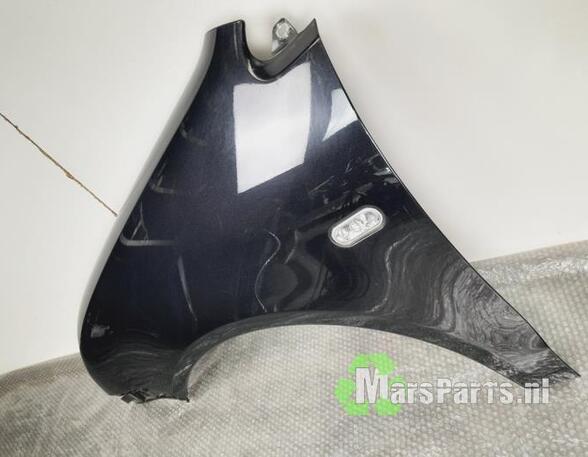 Spatbord VW TOURAN (1T1, 1T2), VW TOURAN VAN (1T1, 1T2), VW TOURAN (1T3)