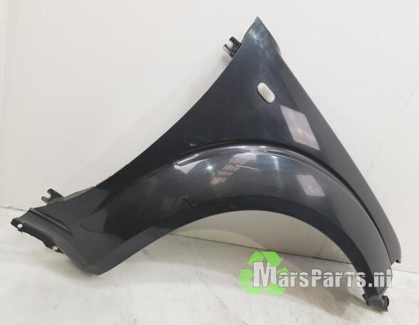 Spatbord NISSAN NP300 NAVARA (D40), NISSAN NP300 NAVARA Platform/Chassis (D40)