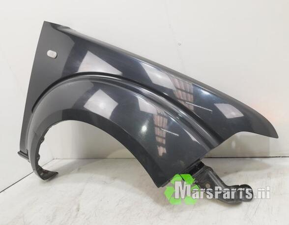 Spatbord NISSAN NP300 NAVARA (D40), NISSAN NP300 NAVARA Platform/Chassis (D40)