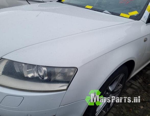 Wing AUDI A6 Avant (4F5, C6), AUDI A6 Allroad (4FH, C6)