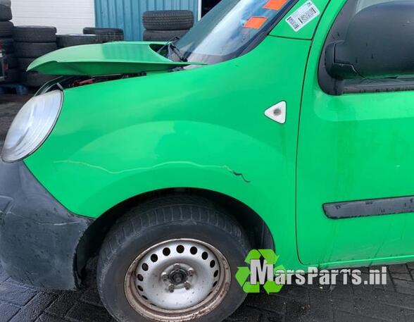 Spatbord RENAULT KANGOO Express (FW0/1_), RENAULT KANGOO / GRAND KANGOO (KW0/1_)