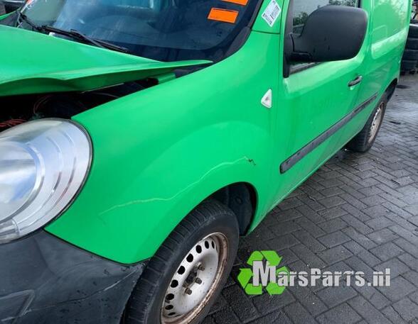 Spatbord RENAULT KANGOO Express (FW0/1_), RENAULT KANGOO / GRAND KANGOO (KW0/1_)