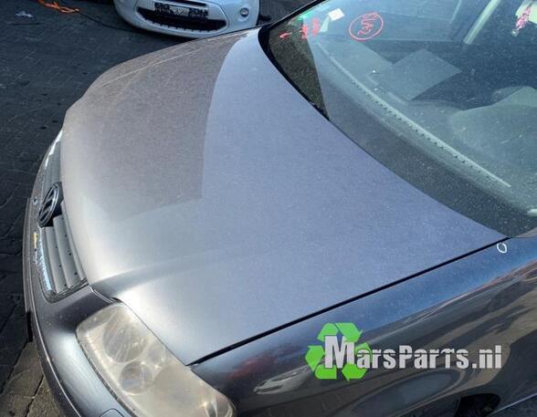 Bonnet VW TOURAN (1T1, 1T2), VW TOURAN (1T3), VW TOURAN VAN (1T1, 1T2)