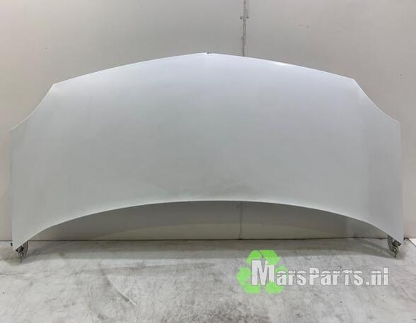 Bonnet RENAULT KANGOO Express (FW0/1_), RENAULT KANGOO / GRAND KANGOO (KW0/1_)