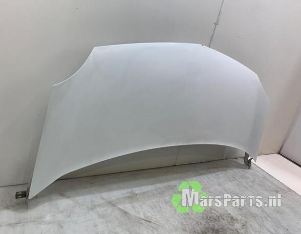 Bonnet RENAULT KANGOO Express (FW0/1_), RENAULT KANGOO / GRAND KANGOO (KW0/1_)