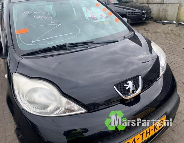 Bonnet PEUGEOT 107 (PM_, PN_)