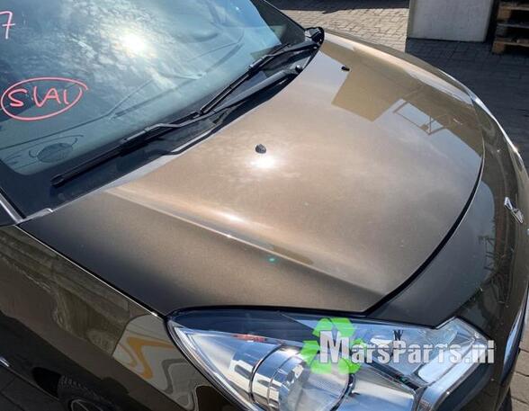 Motorhaube Citroen DS3 Cabriolet  7901R1 P21039887