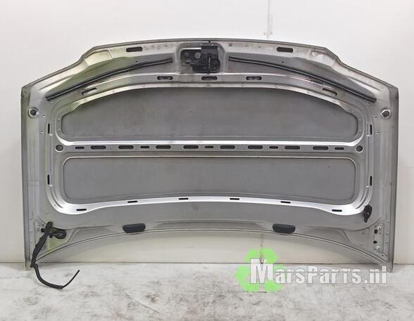 Bonnet VW CADDY III Box Body/MPV (2KA, 2KH, 2CA, 2CH)