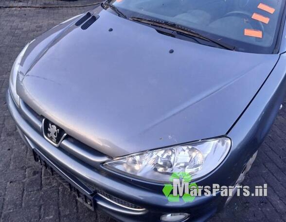 Bonnet PEUGEOT 206 CC (2D)