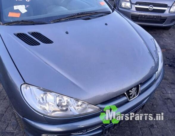 Bonnet PEUGEOT 206 CC (2D)