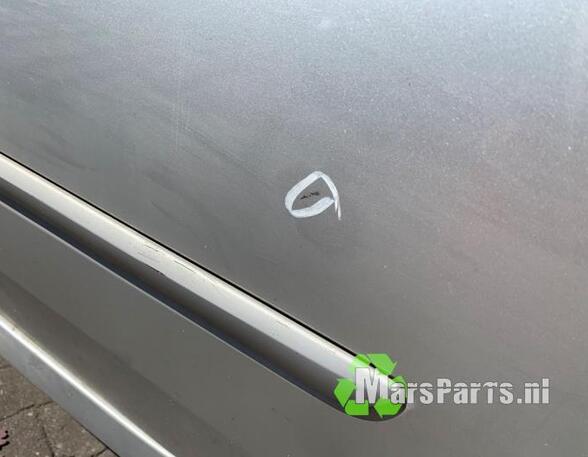 Door RENAULT LAGUNA III (BT0/1)