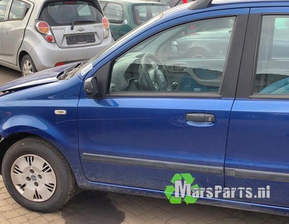 Deur FIAT PANDA (169_), FIAT PANDA Hatchback Van (169_)