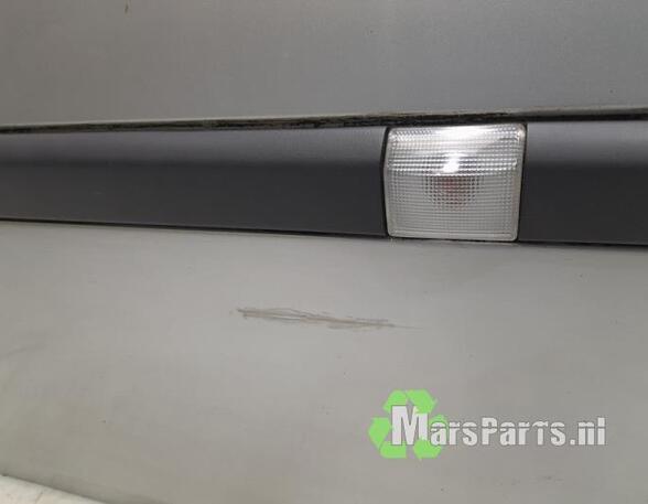 Door RENAULT CLIO III (BR0/1, CR0/1), RENAULT CLIO IV (BH_), RENAULT CLIO II (BB_, CB_)