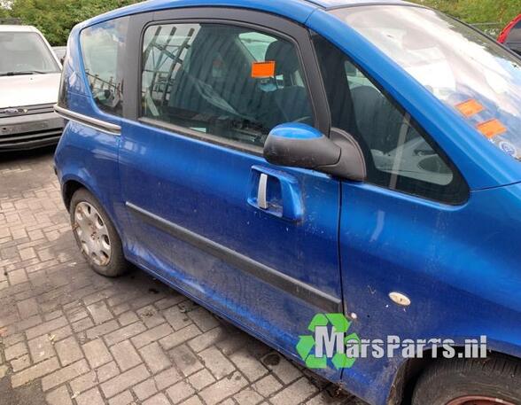 Door PEUGEOT 1007 (KM_)