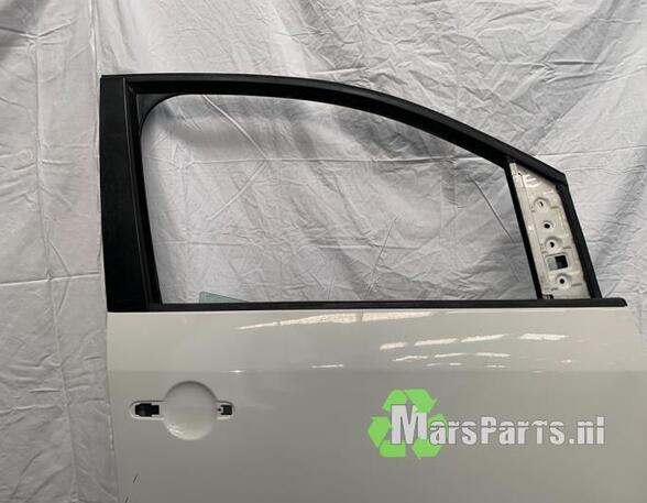 Door VW CADDY III Box Body/MPV (2KA, 2KH, 2CA, 2CH)