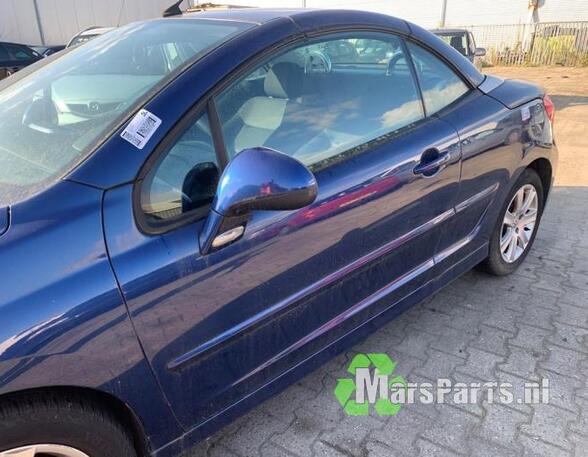 Door PEUGEOT 207 CC (WD_)