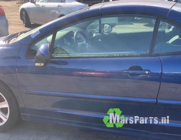 Door PEUGEOT 207 CC (WD_)